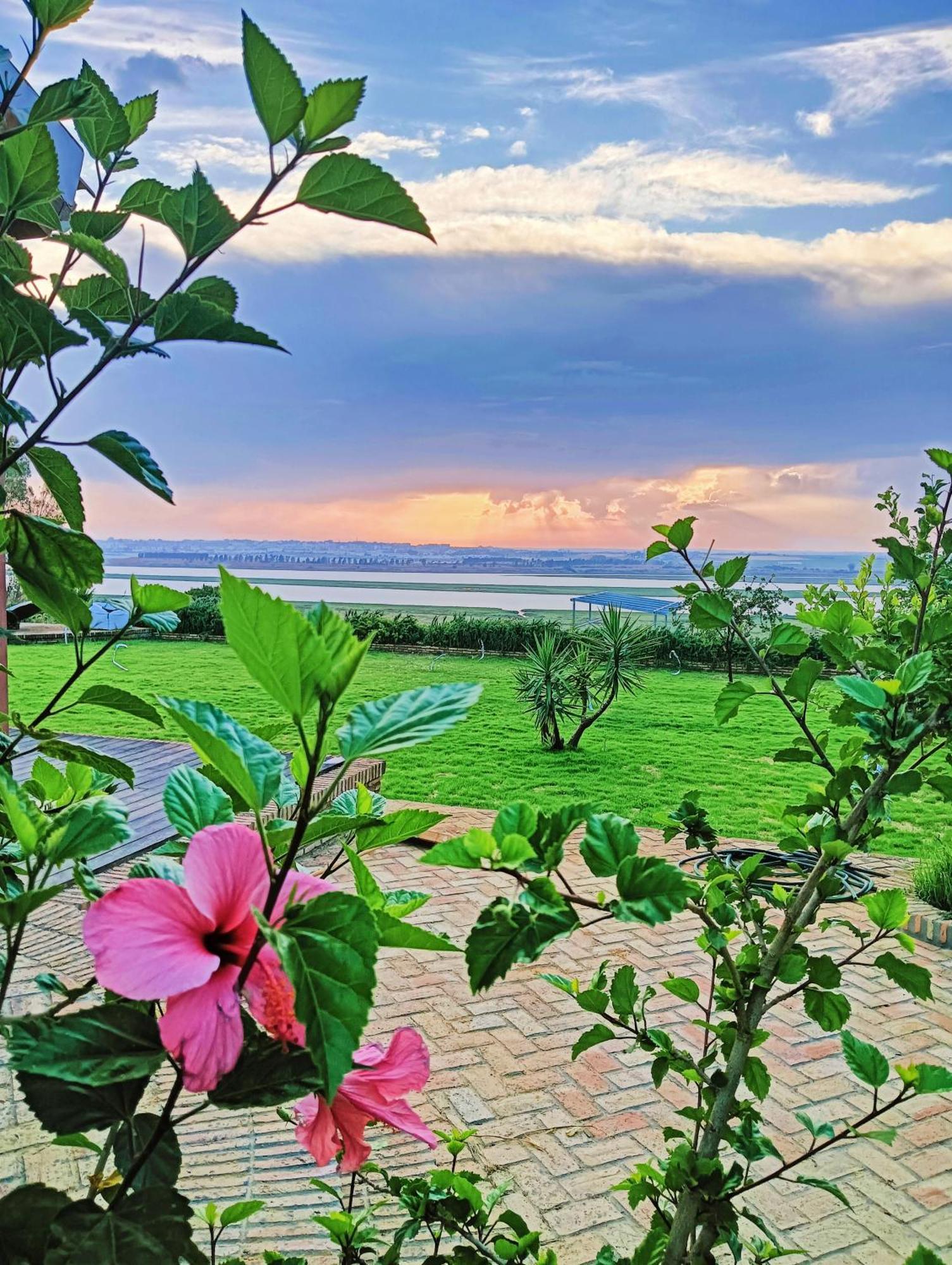 Finca Mis Morenas Палос-де-ла-Фронтера Экстерьер фото
